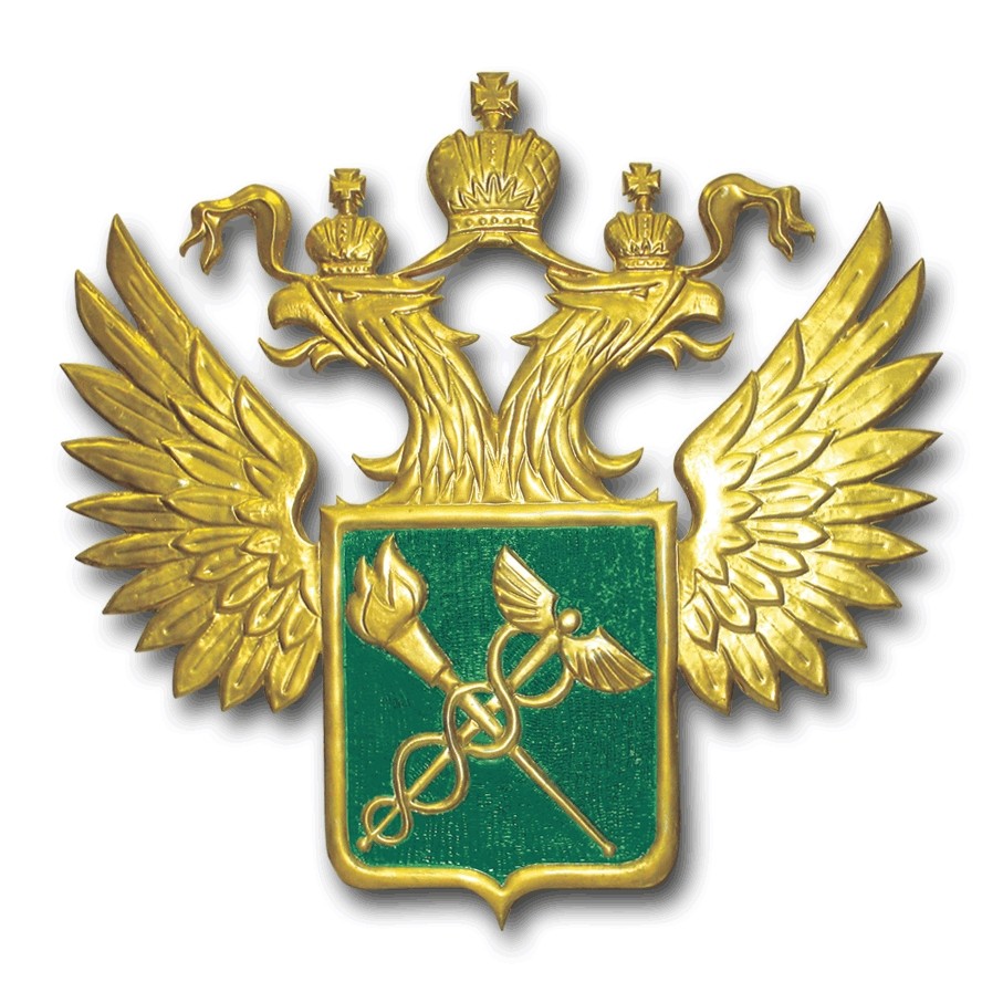 Приняли участие в семинаре ФТС России Приняли участие в семинаре ФТС России